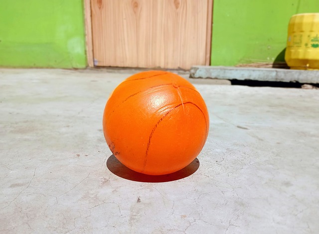 加了他们对 加了他们对