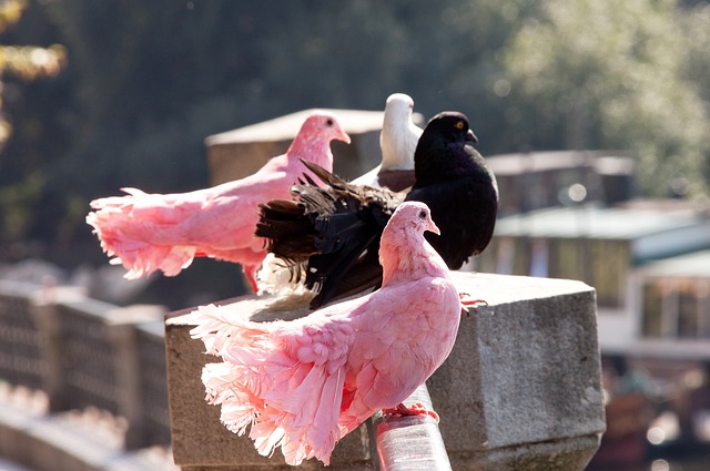 潛力之星 潛力之星