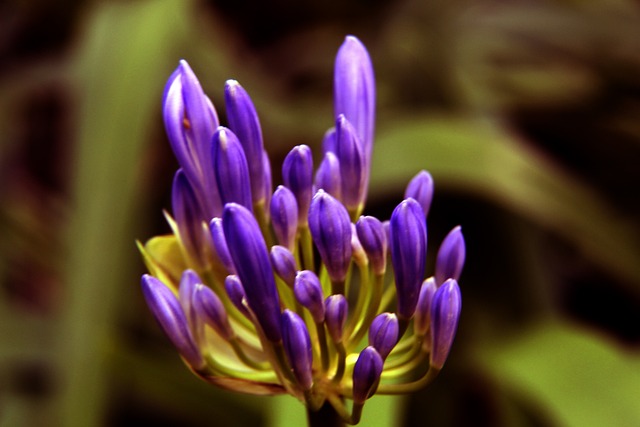 盖帽防守 盖帽防守