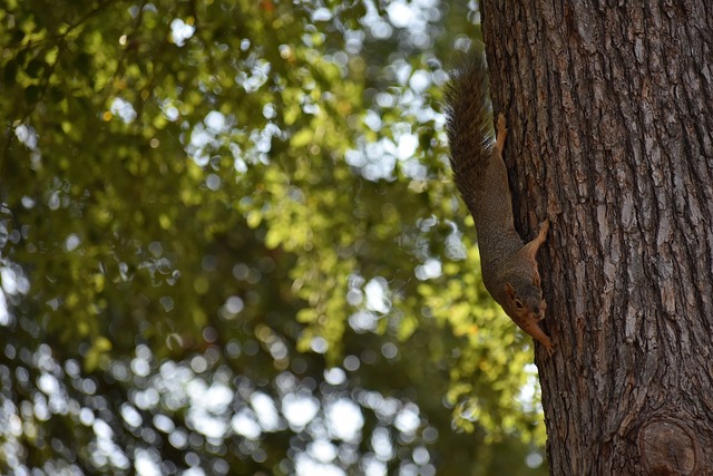 球的秘诀 球的秘诀
