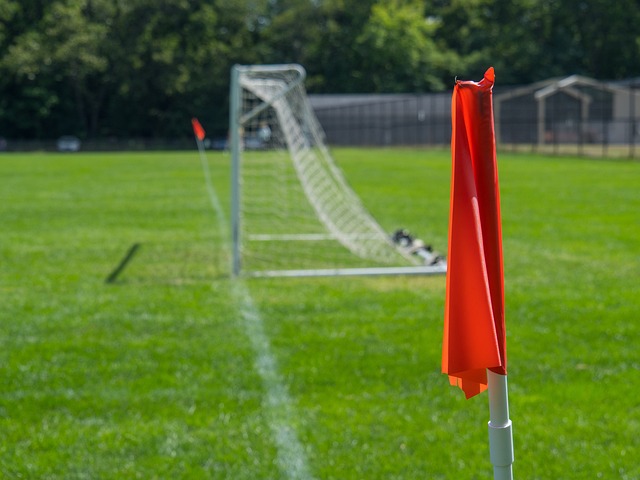 对于像阿诺 对于像阿诺