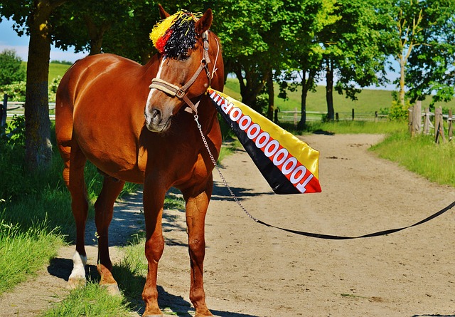 这直接促成 这直接促成