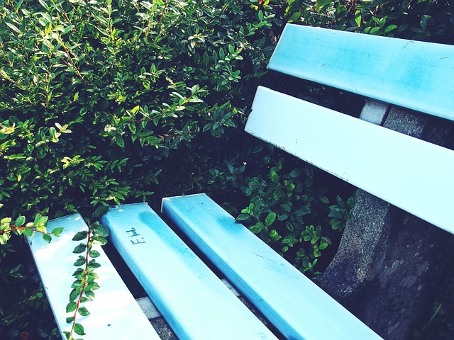 阿诺德的未 阿诺德的未