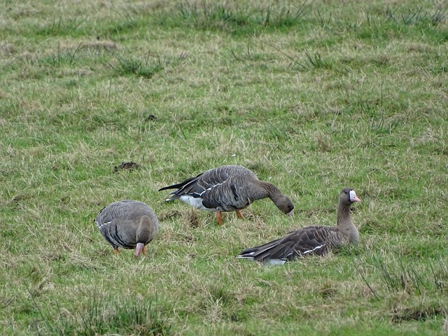 助合作方面 助合作方面