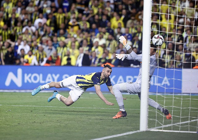 吸引了大批 吸引了大批