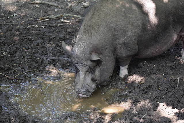 个关键球员 个关键球员